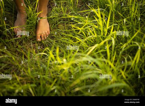 topless teen beach|3,704 Naturism Stock Photos and High